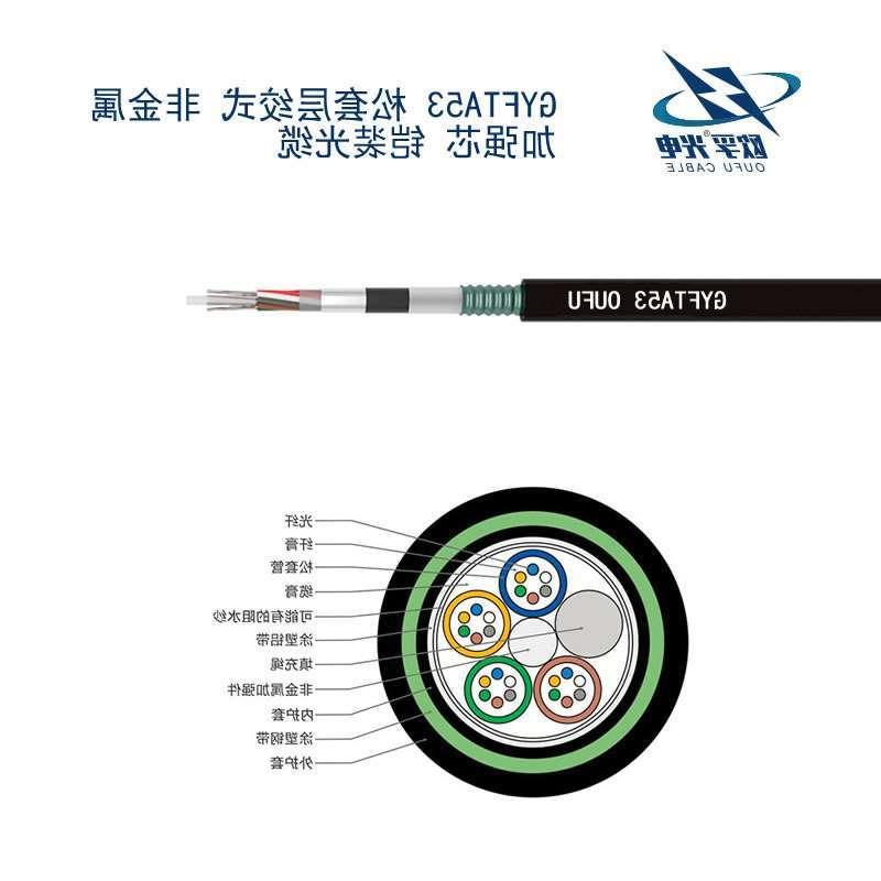 哈尔滨市GYFTA53光缆