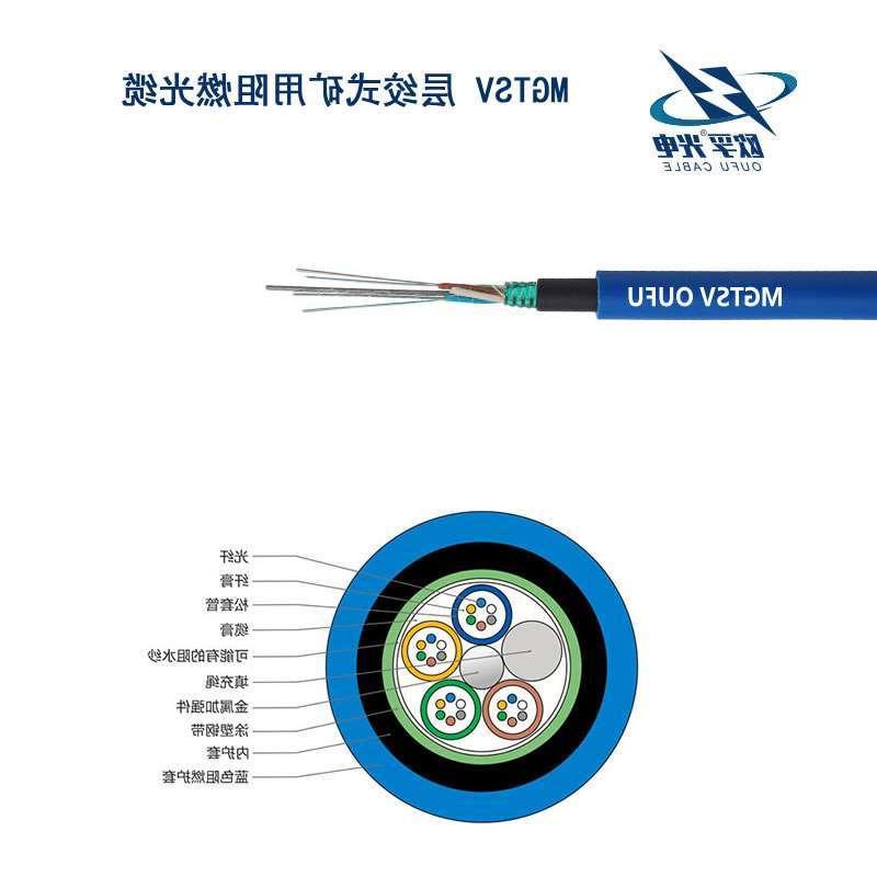 直辖县级MGTSV光缆